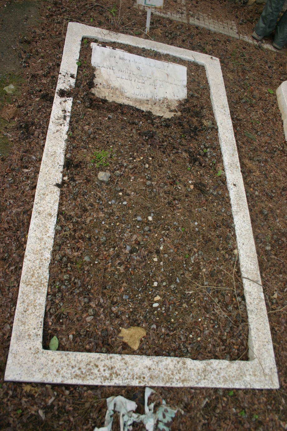 photo of grave for Elaine Whitehead Schaller Harris